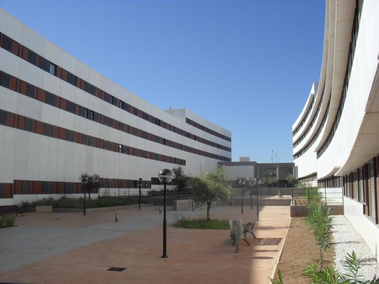 Soliva 4