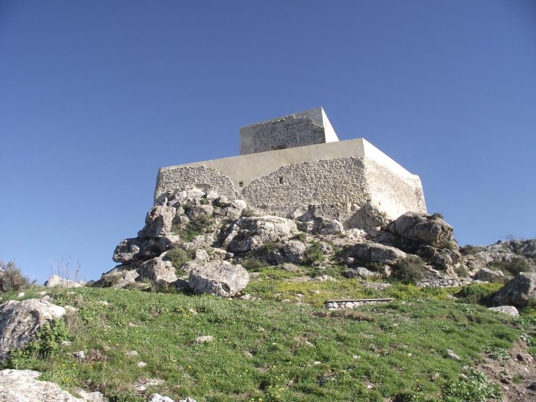 CASTILLO DEL HIERRO PRUNA 1.3