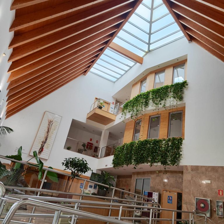 CENTRO 4