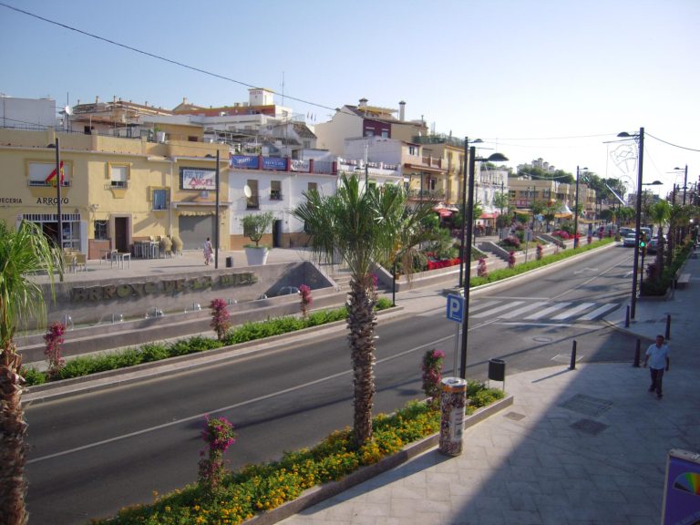 CONSTITUCIÓN 5